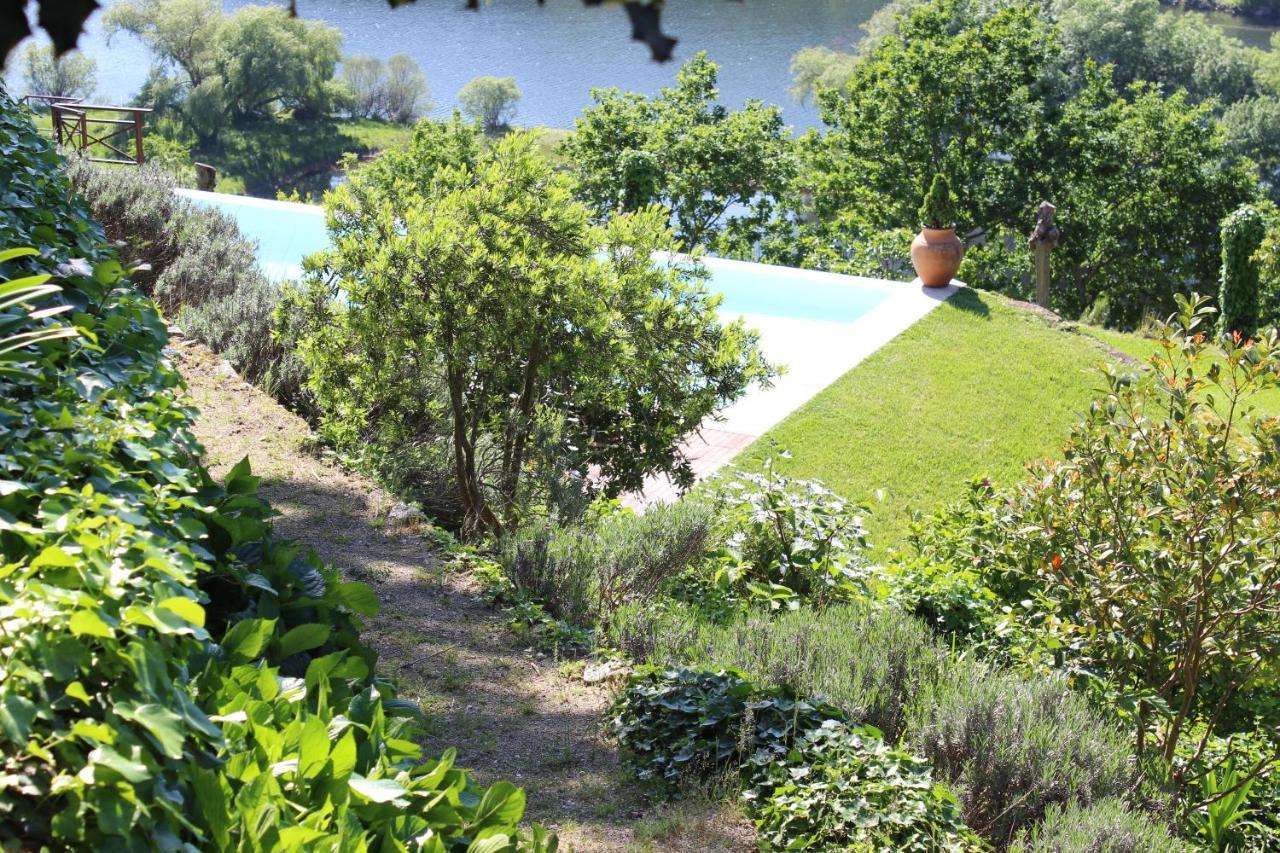הוילה אמרנטה "Bouca Drigues" Casa Antiga De Pedra Com Piscina E Vista Rio מראה חיצוני תמונה