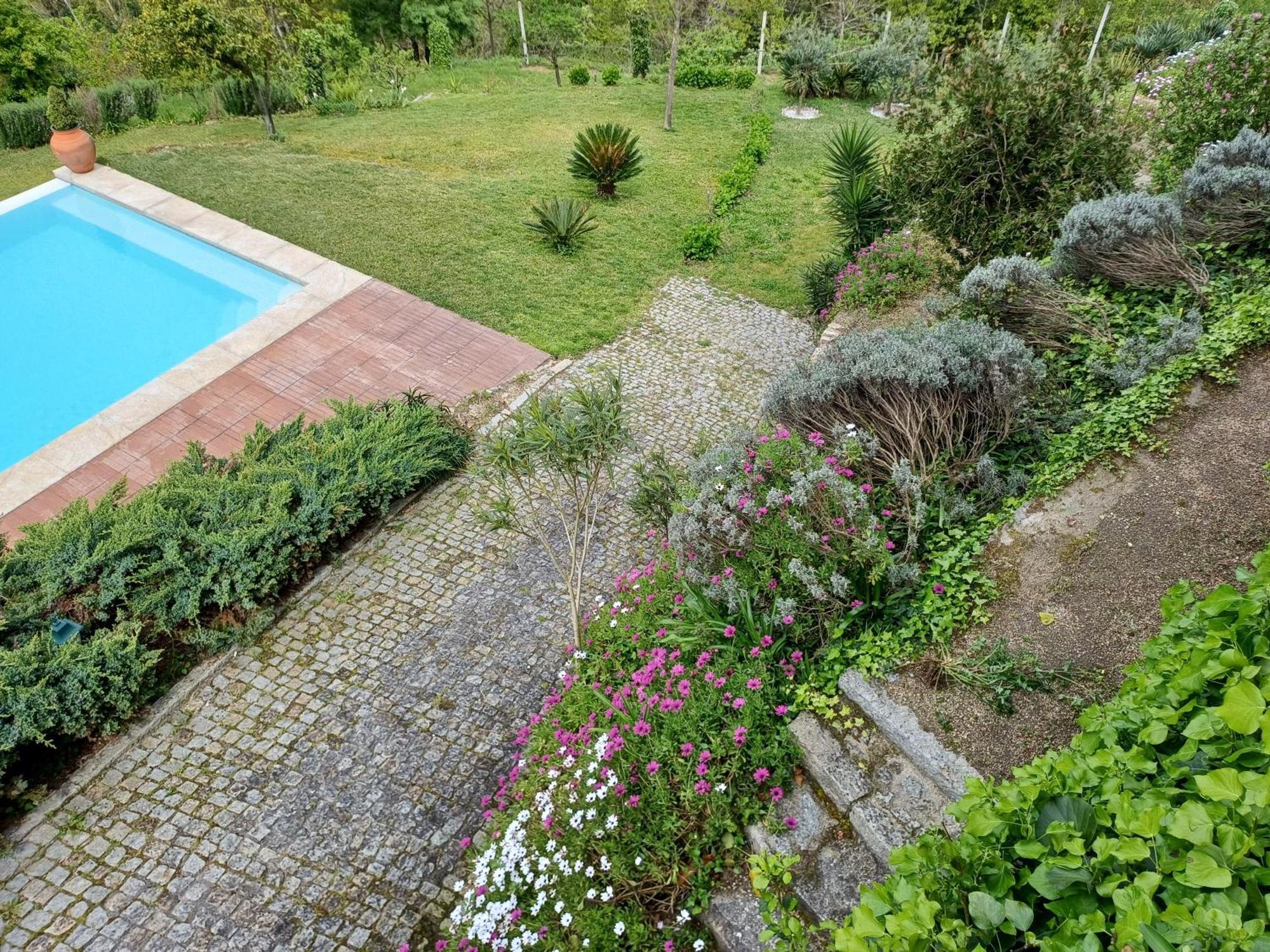 הוילה אמרנטה "Bouca Drigues" Casa Antiga De Pedra Com Piscina E Vista Rio מראה חיצוני תמונה