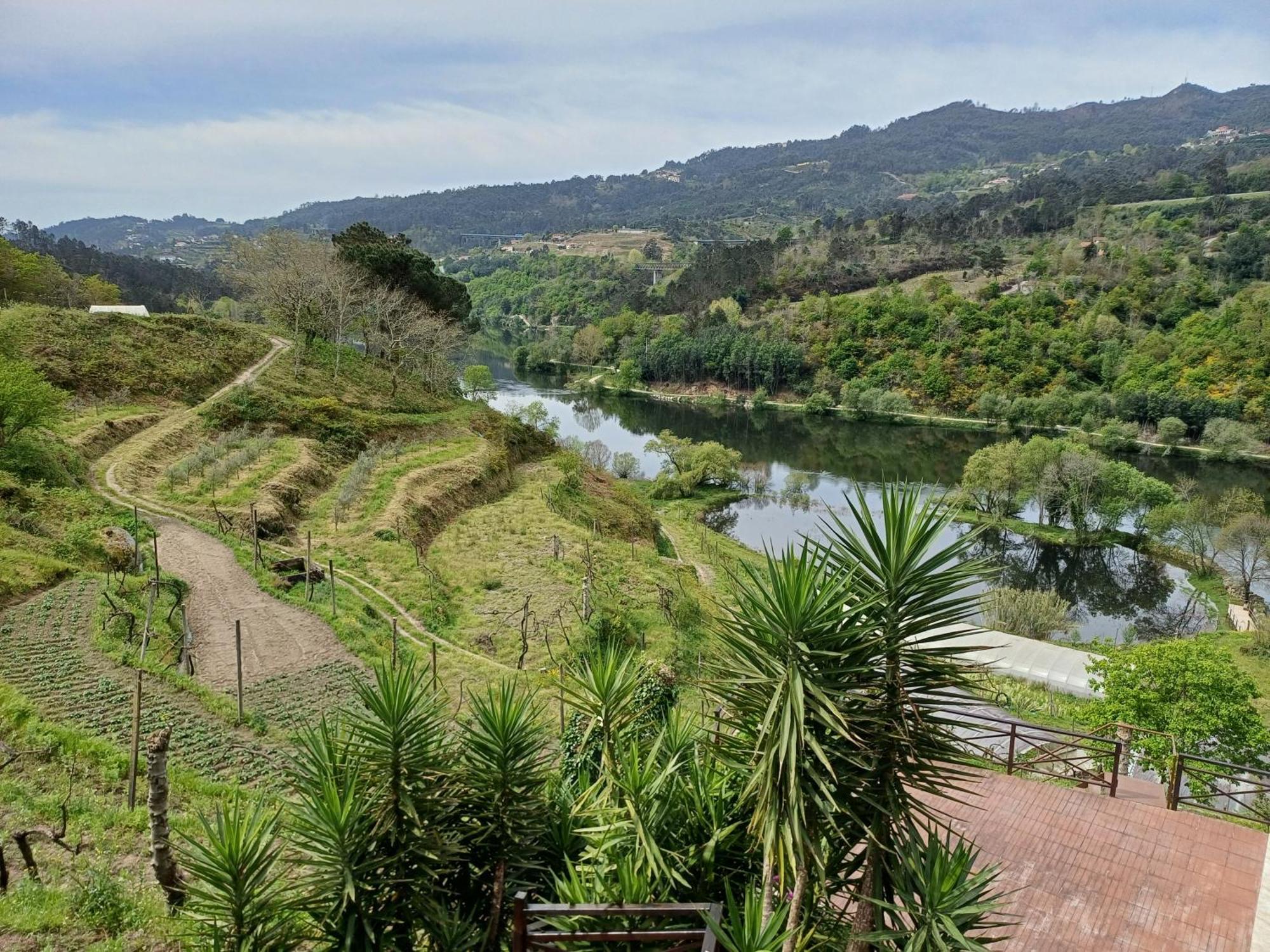 הוילה אמרנטה "Bouca Drigues" Casa Antiga De Pedra Com Piscina E Vista Rio מראה חיצוני תמונה